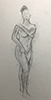 a preview image of a drawing of the human figure