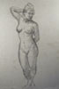 a preview image of a drawing of the human figure