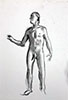 a preview image of a drawing of the human figure