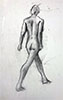 a preview image of a drawing of the human figure